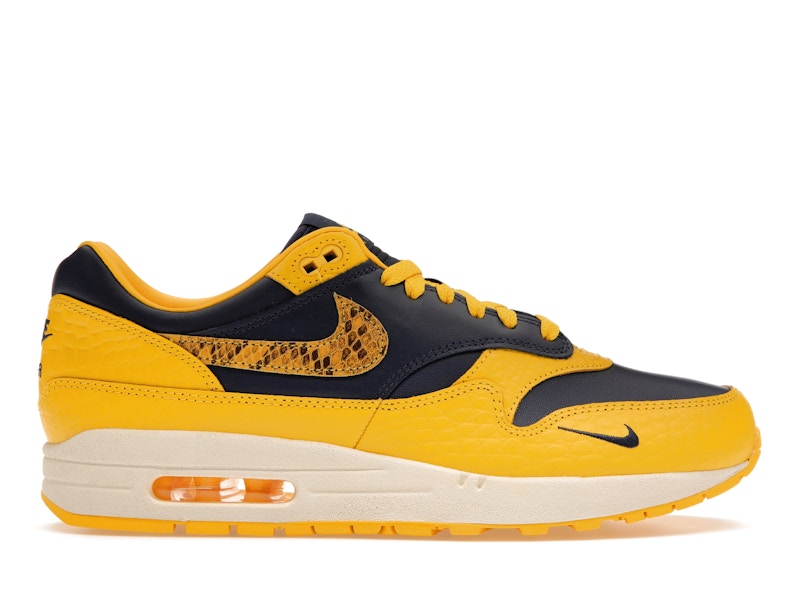 Nike Air Max 1 Cojp Michigan