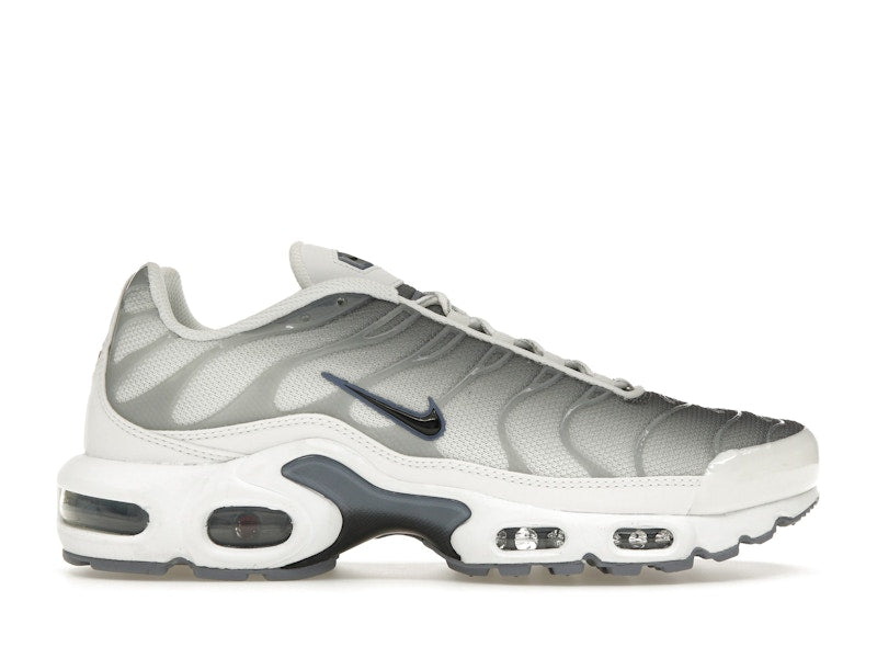 Nike Air Max Plus Smoke Grey Ashen Slate Womens - Summit White/Smoke Grey/Ashen Slate/Black - FQ2892-100 - 01