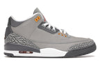 Air Jordan 3 Retro Cool Grey (2021)