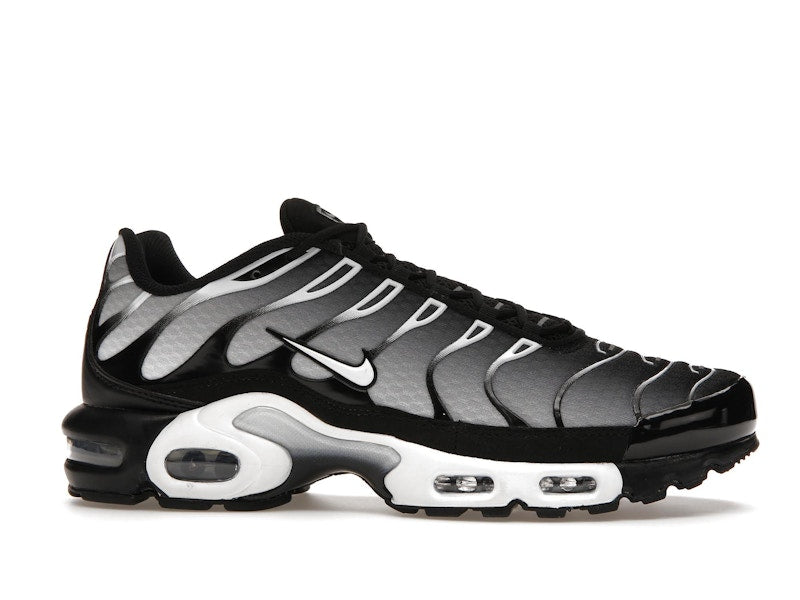 Nike Air Max Plus Black Silver White