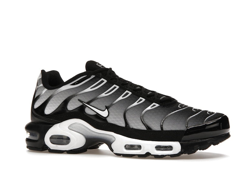 Nike Air Max Plus Black Silver White