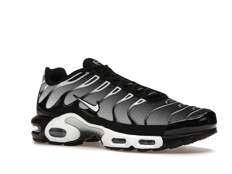 Nike Air Max Plus Black Silver White