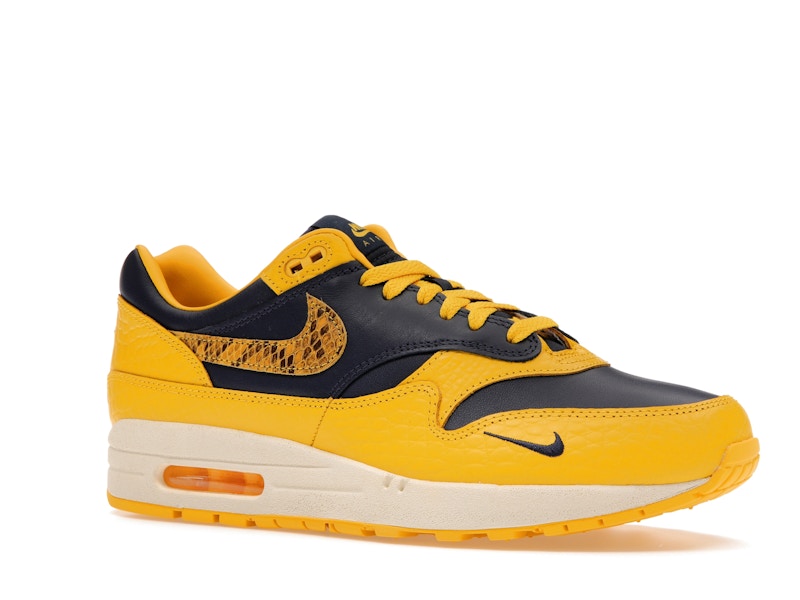 Nike Air Max 1 Cojp Michigan