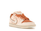 Nike SB Dunk Low Trocadéro Gardens - Amber Brown/Guava Ice/Crimson Tint/Hemp/Neutral Olive/Pale Ivory - FV5926-200 - 06