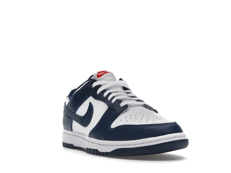 Nike Dunk Low Valerian Blue, vista a 360 gradi 7 di 36