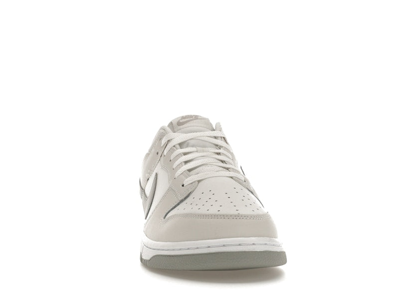 Nike Dunk Low Retro Summit White Light Smoke Grey - Summit White/Light Smoke Grey-Platinum Tint - DV0831-106 - 09