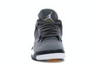 Air Jordan 4 Retro Cool Grey (2019)