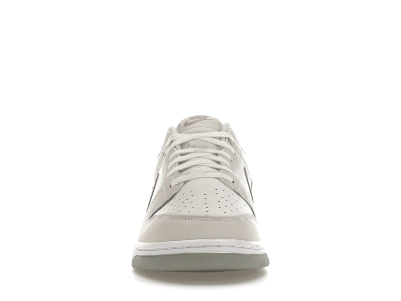 Nike Dunk Low Retro Summit White Light Smoke Grey - Summit White/Light Smoke Grey-Platinum Tint - DV0831-106 - 10