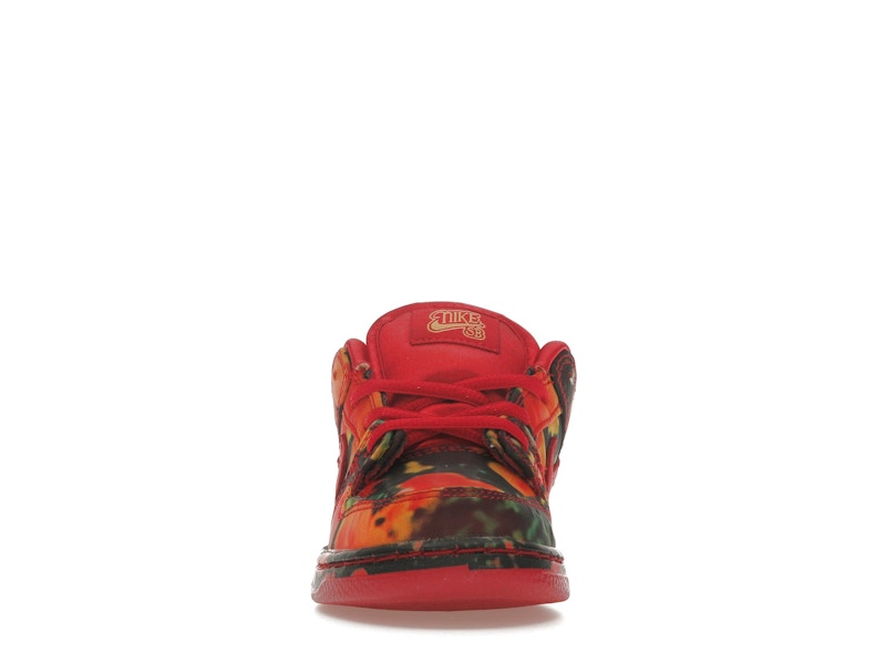 Nike SB Dunk Low The Wizard of Oz Poppy Field (TD)