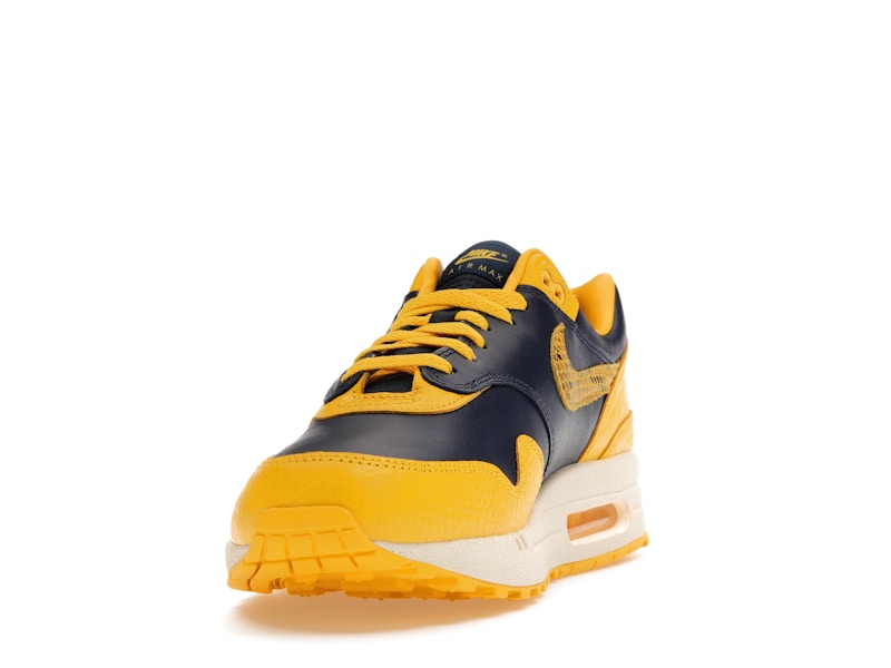 Nike Air Max 1 Cojp Michigan