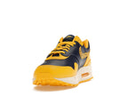 Nike Air Max 1 Cojp Michigan