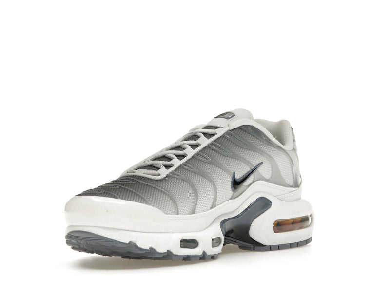 Nike Air Max Plus Smoke Grey Ashen Slate Womens - Summit White/Smoke Grey/Ashen Slate/Black - FQ2892-100 - 14