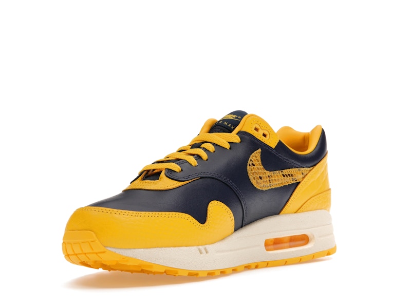 Nike Air Max 1 Cojp Michigan