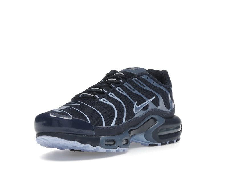 Nike Air Max Plus Obsidian Aluminum - Obsidian/Aluminum/Diffused Blue - IM6601-451 - 14