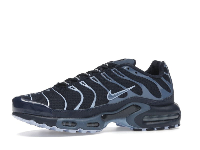 Nike Air Max Plus Obsidian Aluminum - Obsidian/Aluminum/Diffused Blue - IM6601-451 - 17