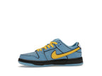 Nike Sb Dunk Low The Powerpuff Girls Bubbles (PS) - Blue Chill/Deep Royal Blue/Active Pink - FZ8833-400 - 18