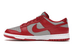 Nike Dunk Low Retro Medium Grey Varsity Red 2021 - Medium Grey/White/Varsity Red - DD1391-002 - 20