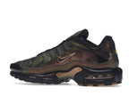 Nike Air Max Plus OG Scarab (2022), vista a 360 gradi 21 di 36