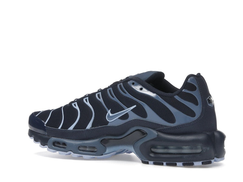 Nike Air Max Plus Obsidian Aluminum - Obsidian/Aluminum/Diffused Blue - IM6601-451 - 22