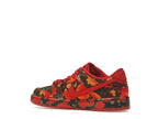 Nike Sb Dunk Low The Wizard Of Oz Poppy Field (PS) - Varsity Red/Varsity Red/University Gold - FZ1236-600 - 22