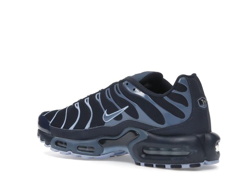 Nike Air Max Plus Obsidian Aluminum - Obsidian/Aluminum/Diffused Blue - IM6601-451 - 23