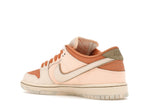 Nike SB Dunk Low Trocadéro Gardens - Amber Brown/Guava Ice/Crimson Tint/Hemp/Neutral Olive/Pale Ivory - FV5926-200 - 23