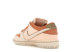 Nike SB Dunk Low Trocadéro Gardens - Amber Brown/Guava Ice/Crimson Tint/Hemp/Neutral Olive/Pale Ivory - FV5926-200 - 24