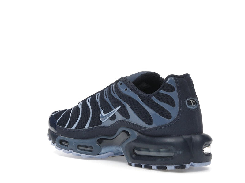 Nike Air Max Plus Obsidian Aluminum - Obsidian/Aluminum/Diffused Blue - IM6601-451 - 24