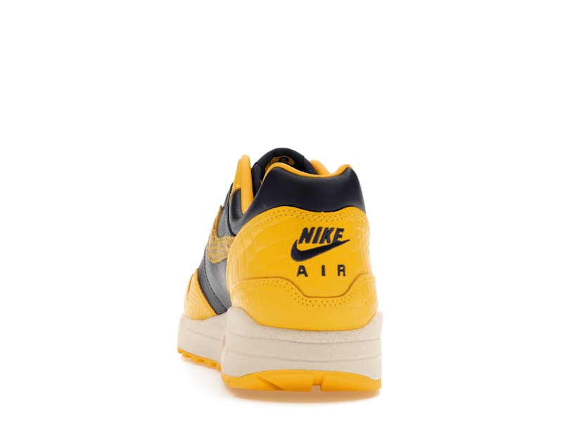 Nike Air Max 1 Cojp Michigan