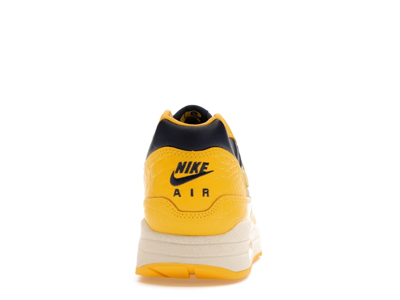 Nike Air Max 1 Cojp Michigan
