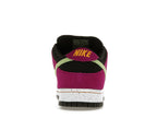 Nike Dunk Sb Low Pro Acg Terra Red Plum - Red Plum/Black-Taxi-Citron - BQ6817-501 - 28