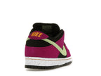 Nike Dunk Sb Low Pro Acg Terra Red Plum - Red Plum/Black-Taxi-Citron - BQ6817-501 - 30