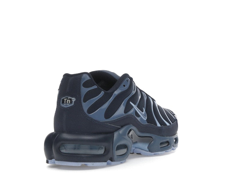 Nike Air Max Plus Obsidian Aluminum - Obsidian/Aluminum/Diffused Blue - IM6601-451 - 31