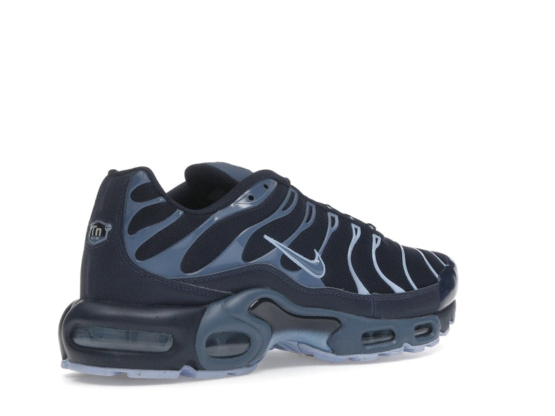 Nike Air Max Plus Obsidian Aluminum - Obsidian/Aluminum/Diffused Blue - IM6601-451 - 33