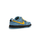 Nike Sb Dunk Low The Powerpuff Girls Bubbles (PS) - Blue Chill/Deep Royal Blue/Active Pink - FZ8833-400 - 33