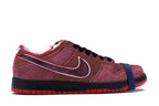 Nike SB Dunk Low Concepts Red Lobster