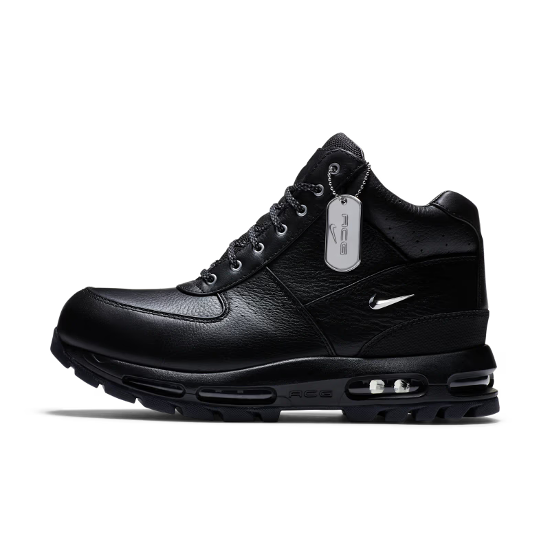 Nike Air Max Goadome 20th Anniversary - vue profil