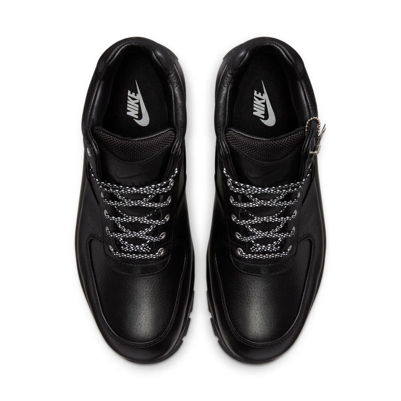 Nike Air Max Goadome 20th Anniversary - vue dessus
