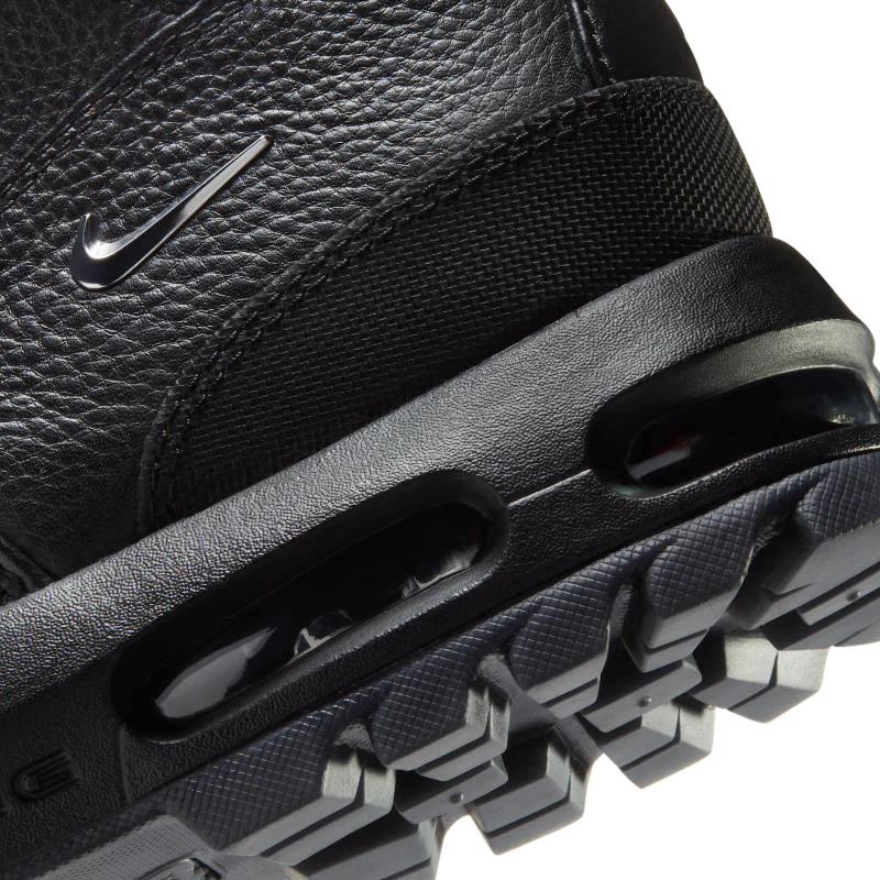 Nike Air Max Goadome 20th Anniversary - vue detail 2