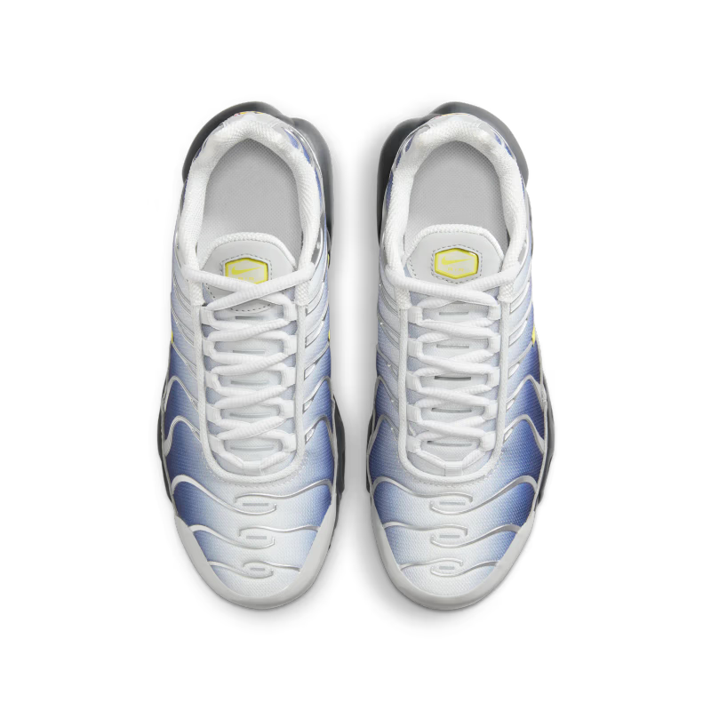 Nike Air Max Plus Obsidian Silver (GS) - vue dessus