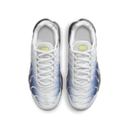 Nike Air Max Plus Obsidian Silver (GS) - vue dessus