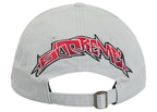 Supreme Ducati 6 Panel Hat Grey - vue vue 3