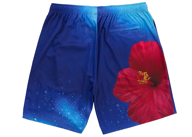 Supreme Fiji Soccer Short Multicolor - vue 2