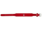 Supreme Titan Weight Belt Red - vue vue 5